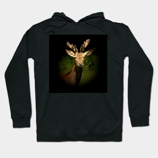 Red deer Hoodie